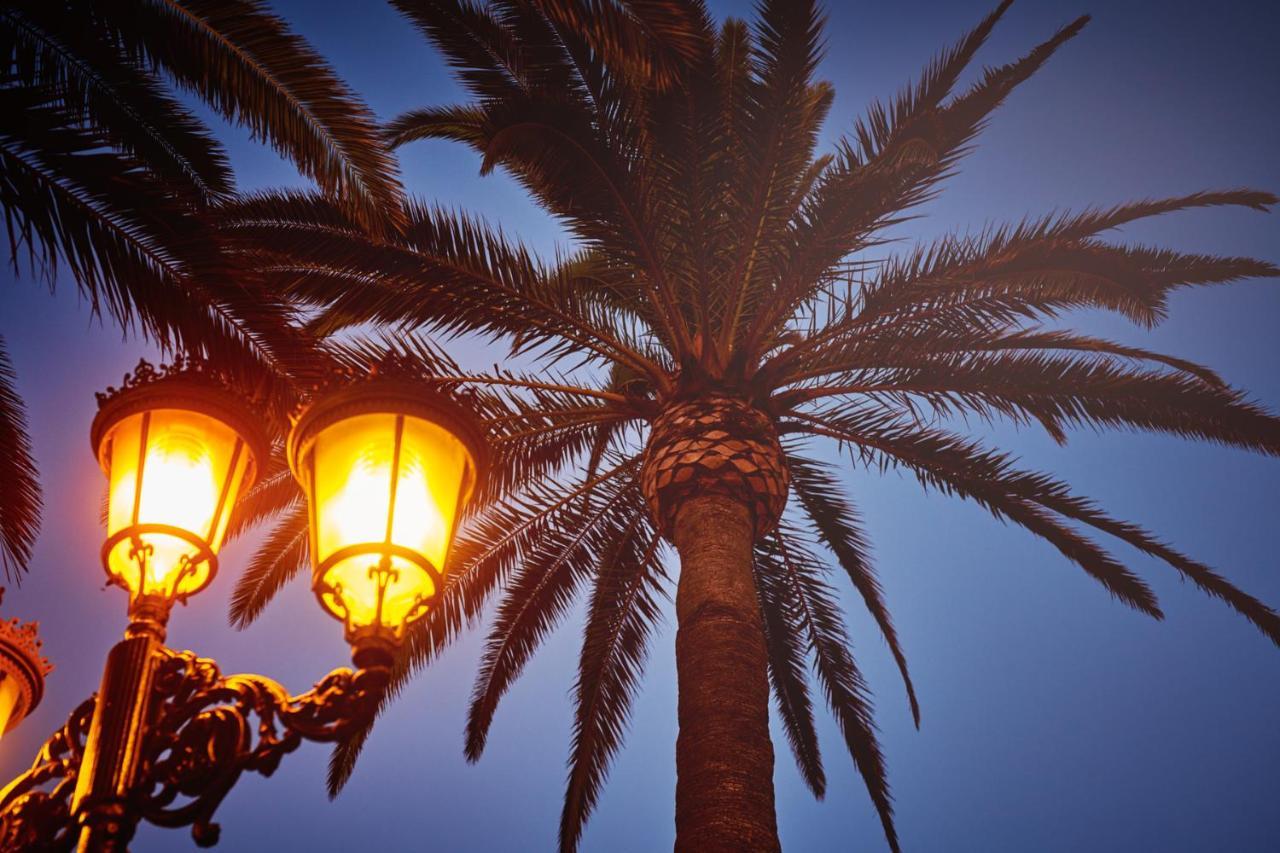 Balcon De Europa Διαμέρισμα Nerja Εξωτερικό φωτογραφία